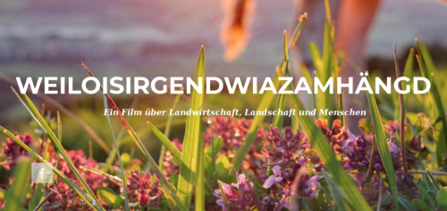 WEILOISIRGENDWIAZAMHÄNGD