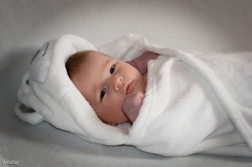 online: Bindungsorientierte Säuglingspflege (Infos kompakt)